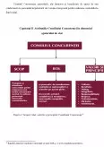 Imagine document Dreptul concurenței - ajutorul de stat