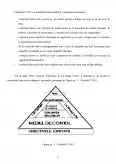 Imagine document Modele de Control Intern COSO și COCO