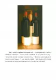 Imagine document Masa neutrinului, radioactivitate și datarea vinului
