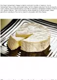 Imagine document Camembert cheese