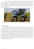 Imagine document Tehnologia de obținere a vinurilor albe - Analiza senzorială și fizico-chimică