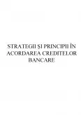 Imagine document Strategii și principii în acordarea creditelor bancare
