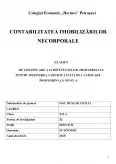 Imagine document Contabilitatea imobilizărilor necorporale
