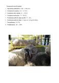 Imagine document Elaborarea proiectului tehnologic pentru o fermă de producție de ovine din grupa lână semifină, situate în zona de șes cu capacitatea de 315 oi